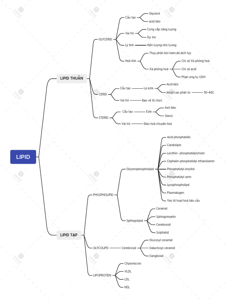 Lipid | PDF