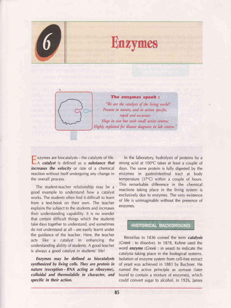 Understanding Enzymes: Biocatalysts Explained | PDF | Active Site | Enzyme