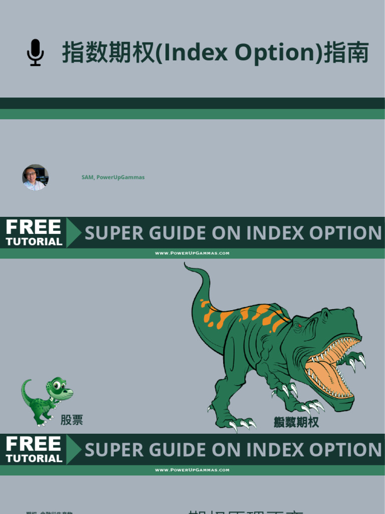 指数期权Index-Option指南2230 | PDF