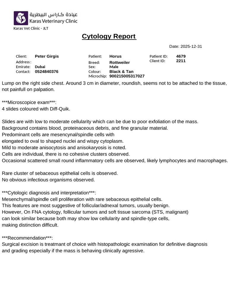 Rottweiler Cytology Report Summary | PDF | Sarcoma | Cancer