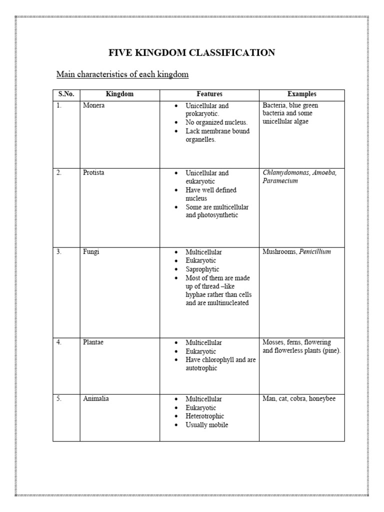 Five Kingdom Classification | PDF | Leaf | Eukaryotes