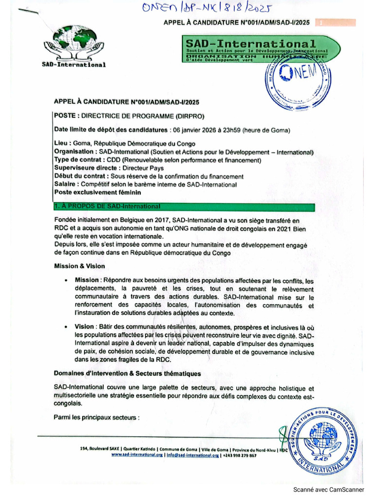 Appel À Candidature Poste Du Directeur Des Programmes | PDF