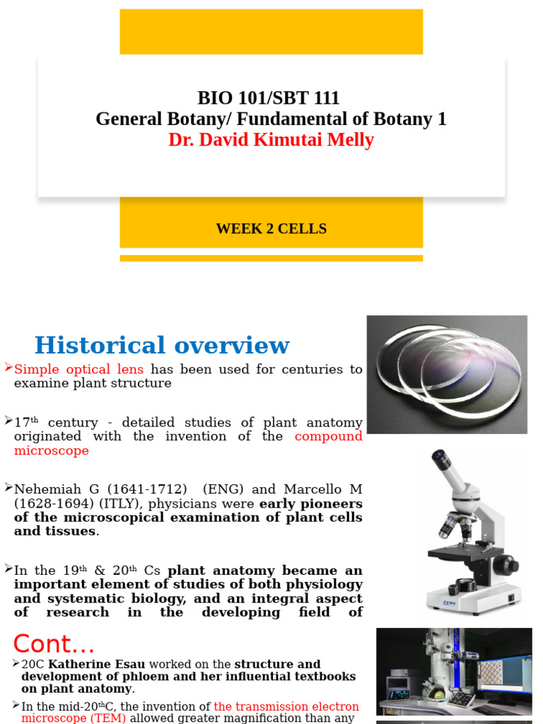 Bio 101 General Botany Week 2 Plant Cells | PDF | Endoplasmic Reticulum ...