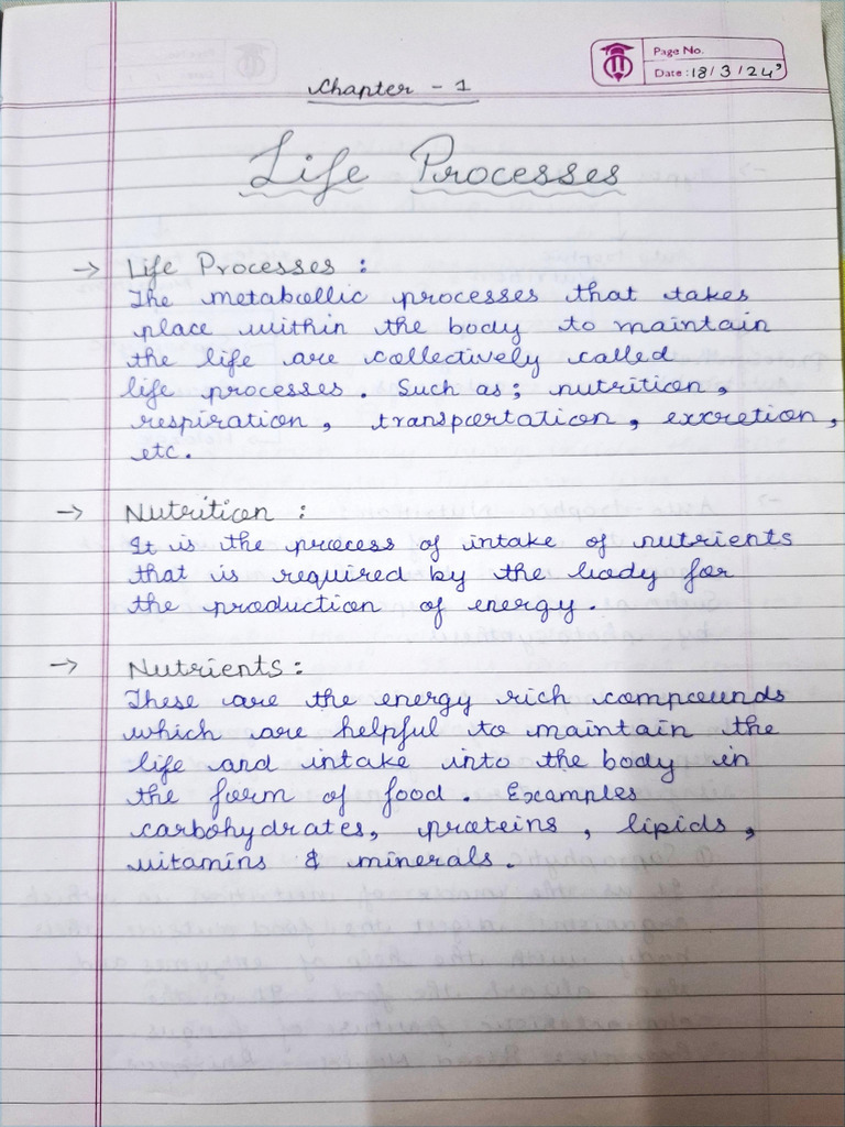 Life Processes Handwritten Notes Class 10 Biology | PDF