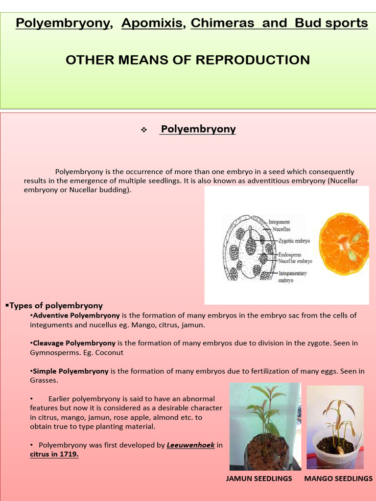 Reproductive Methods in Plants: Polyembryony & More | PDF | Mutation ...