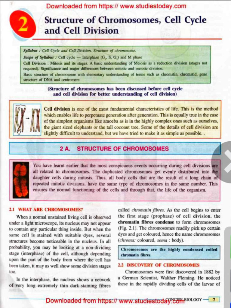 Chapter 2 Bio | PDF