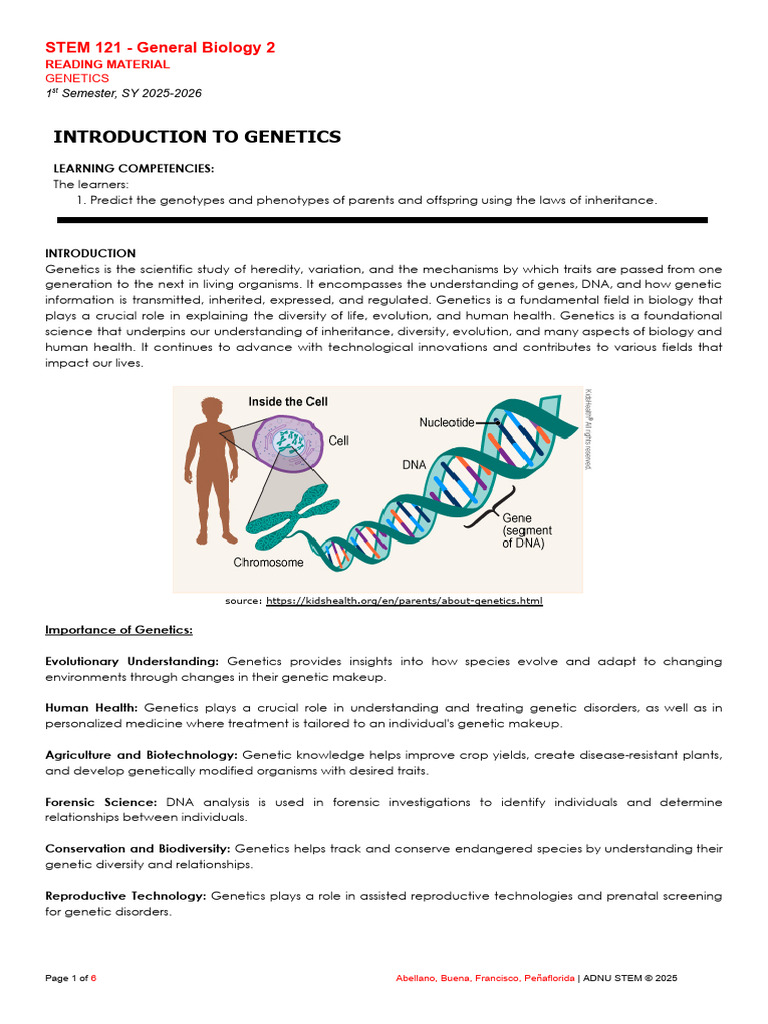 Introduction to Genetics in Biology | PDF | Dominance (Genetics) | Genotype