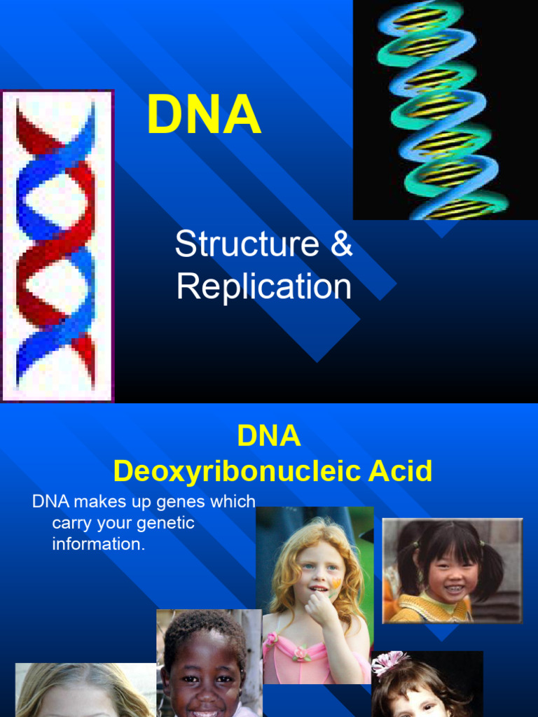 DNA Structure and Replication Overview | PDF | Dna | Dna Replication