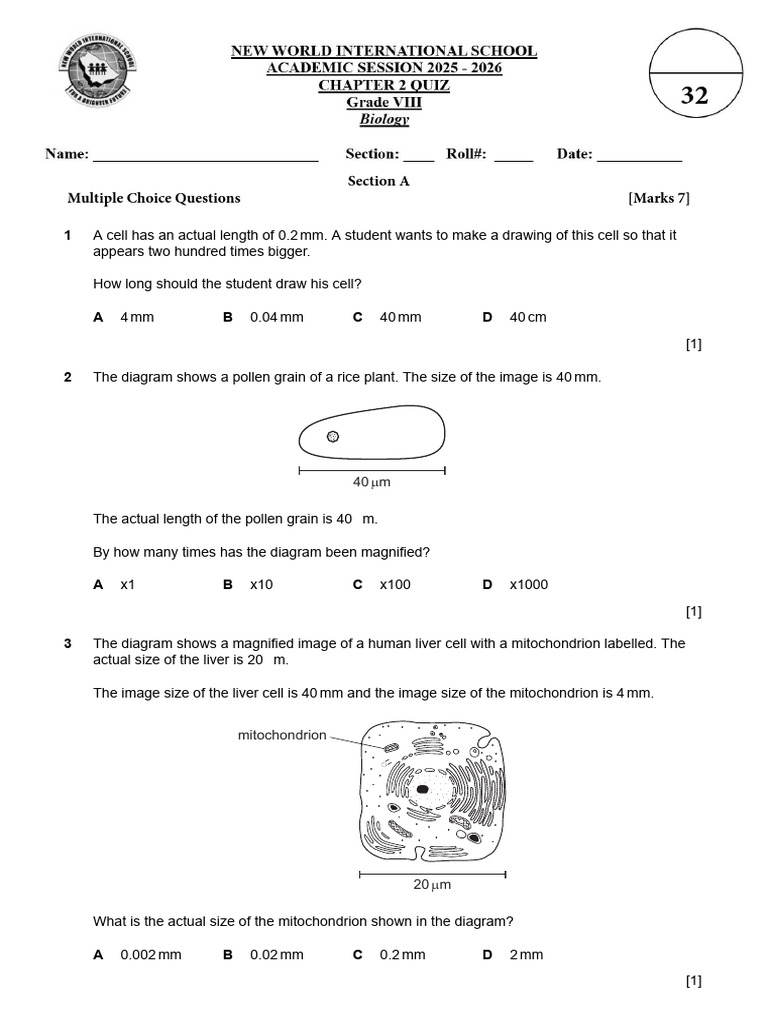 Cell Size and Magnification Questions | PDF | Cell (Biology) | Stoma