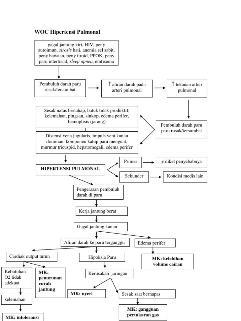 F 13693 Woc Askep Hipertensi Pulmonal