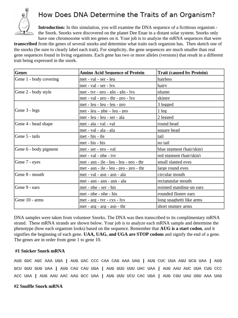 DNA Traits Analysis of Fictitious Snorks | PDF | Gene | Genetic Code