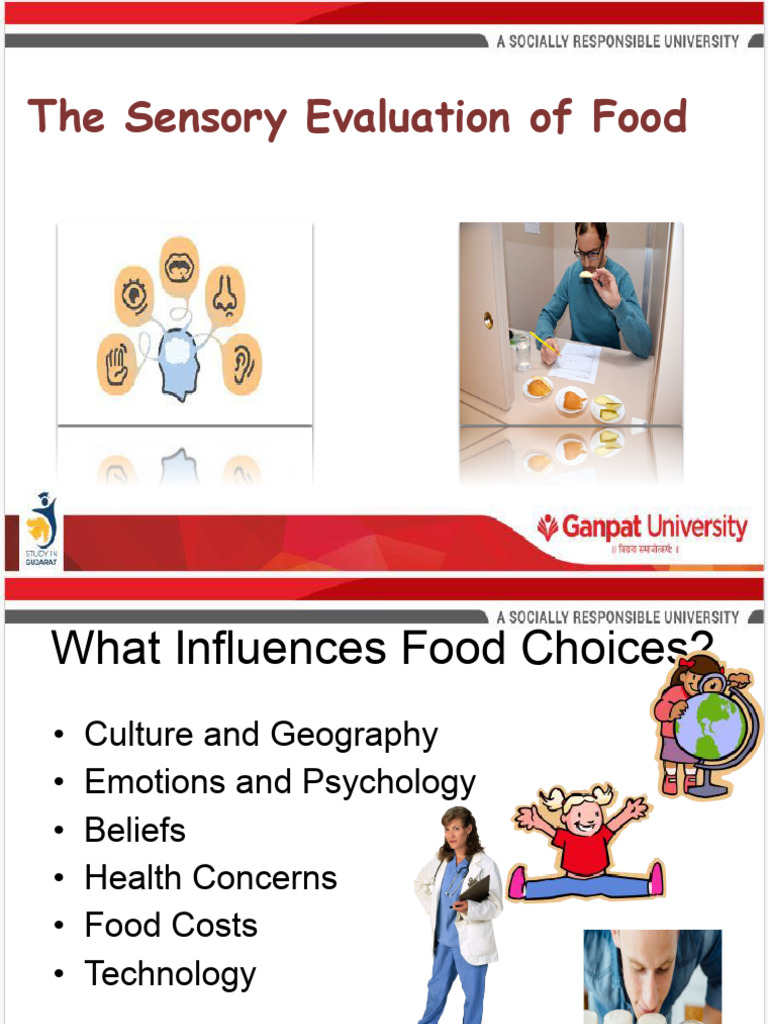 Sensory Evaluation of Food Choices | PDF | Taste | Perception