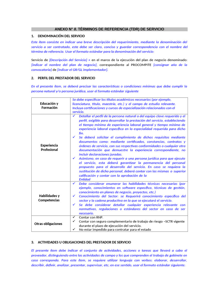 Modelo de Tdr | PDF | Software