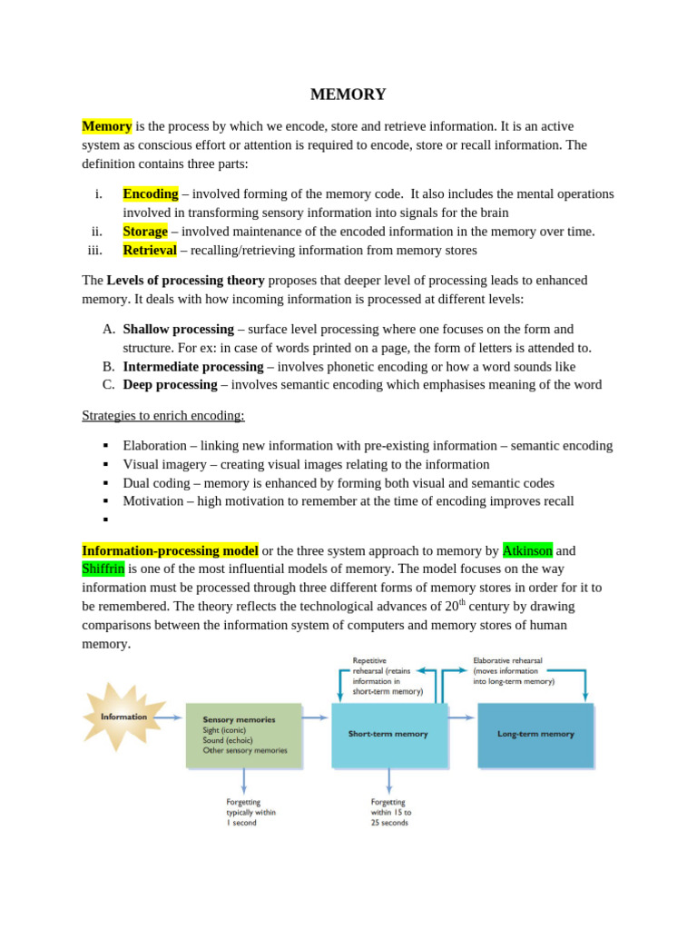 Understanding Memory: Encoding to Retrieval | PDF | Perception ...