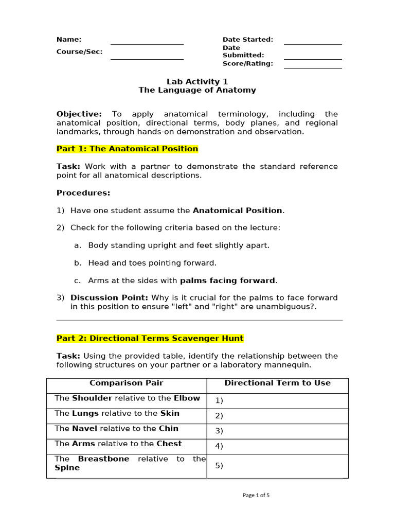 LabAct 1 the Language of Anatomy | PDF | Anatomical Terms Of Location ...