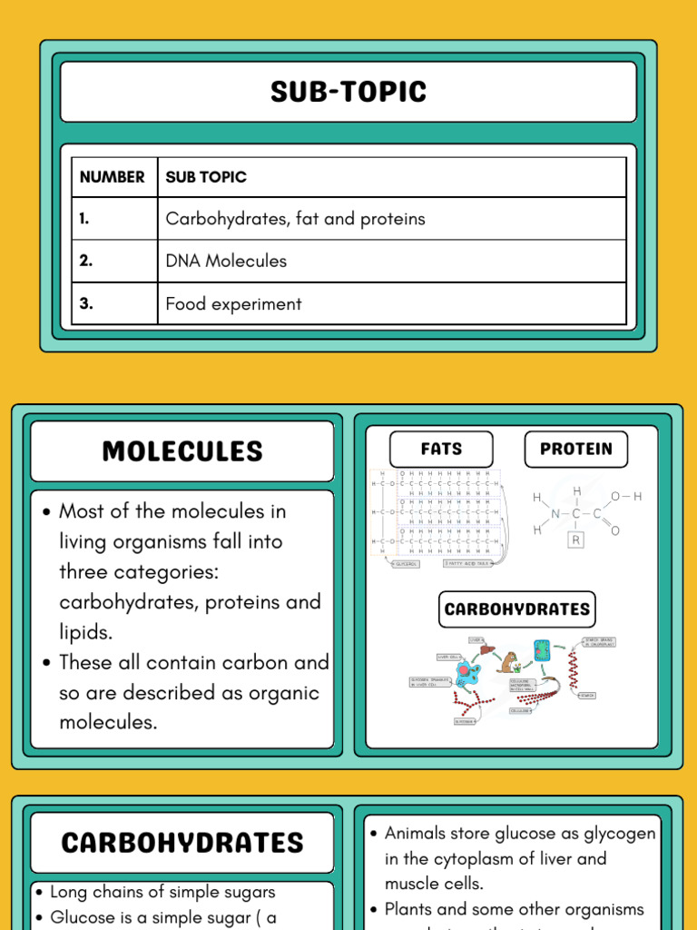 Key Biological Molecules Explained | PDF | Carbohydrates | Nucleic Acids