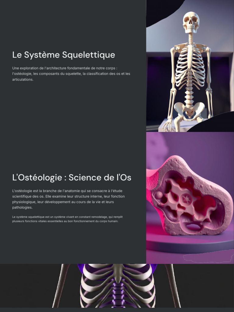 Système Squelettique : Structure et Fonctions | PDF | Os | Articulation ...