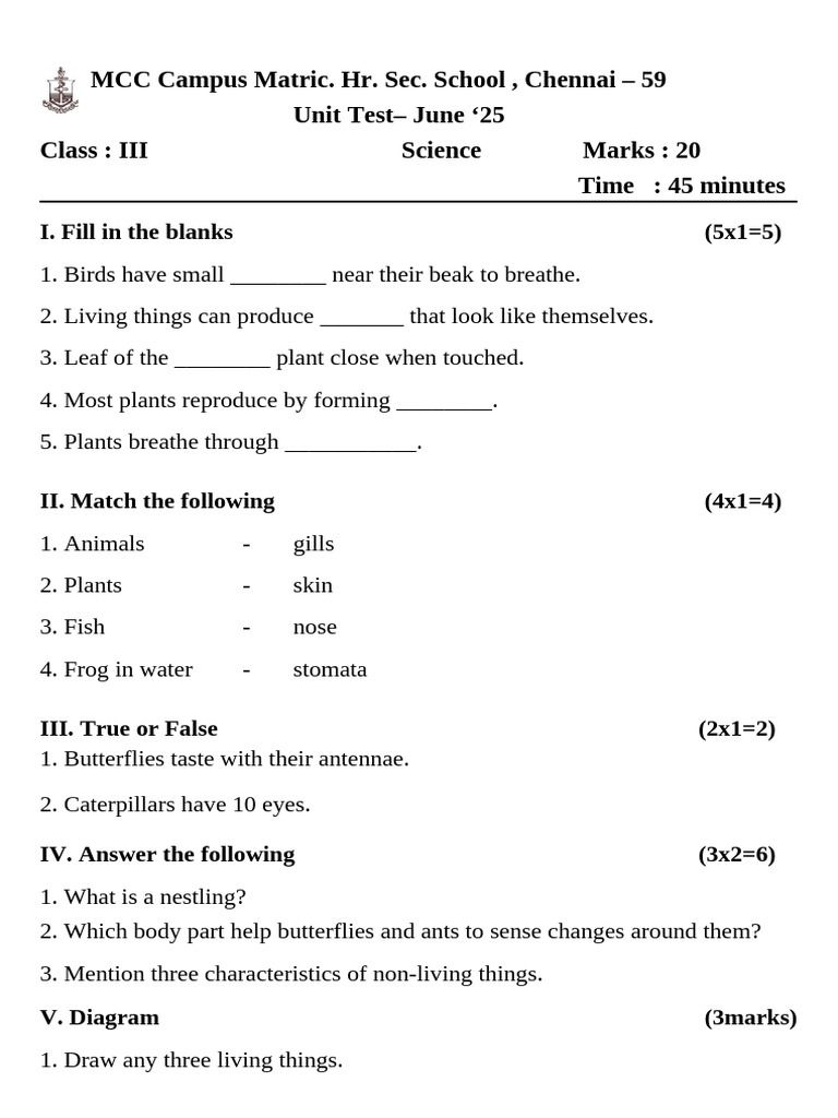 Class III Science Unit Test Questions | PDF