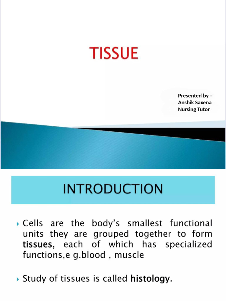 Tissues | PDF