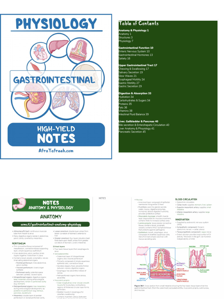 Gastrointestinal Anatomy and Physiology | PDF | Stomach ...