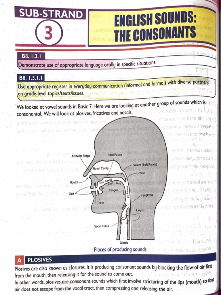 Strand1- Oral Language Sub-Strand 3- English Sounds- The Consonants | PDF