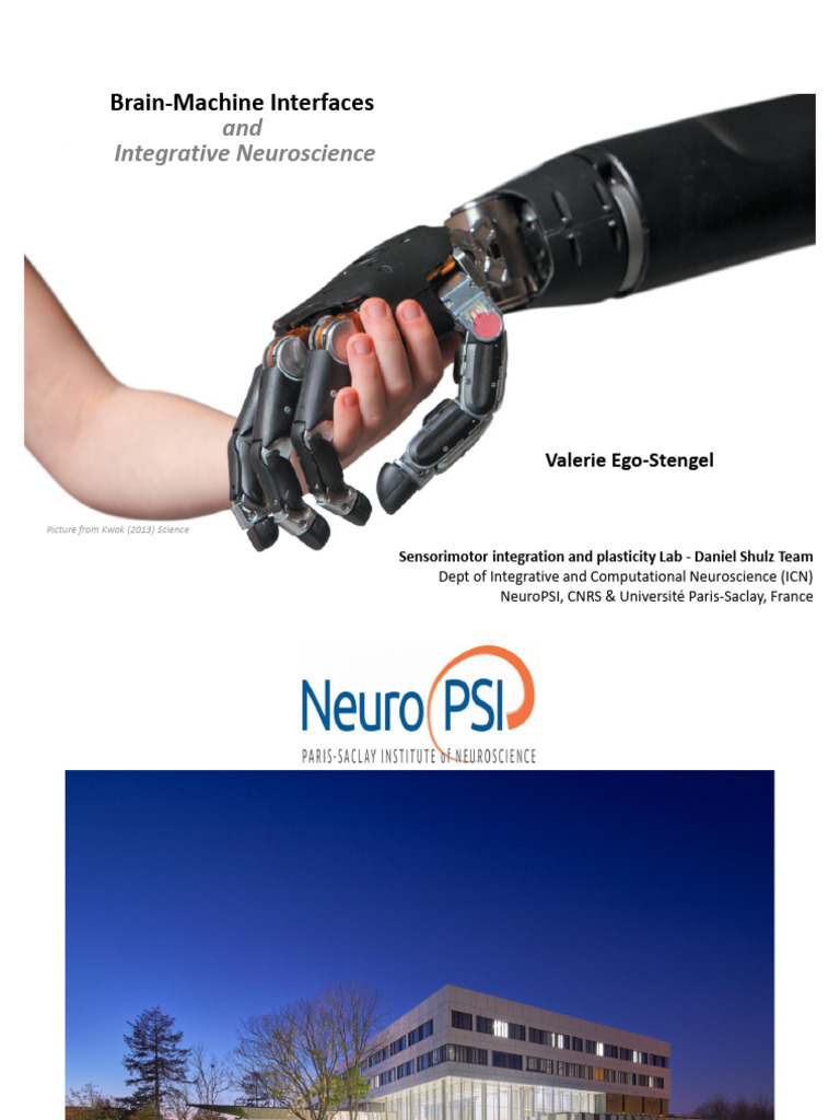 Brain-Machine Interfaces Overview | PDF | Perception | Neuroplasticity