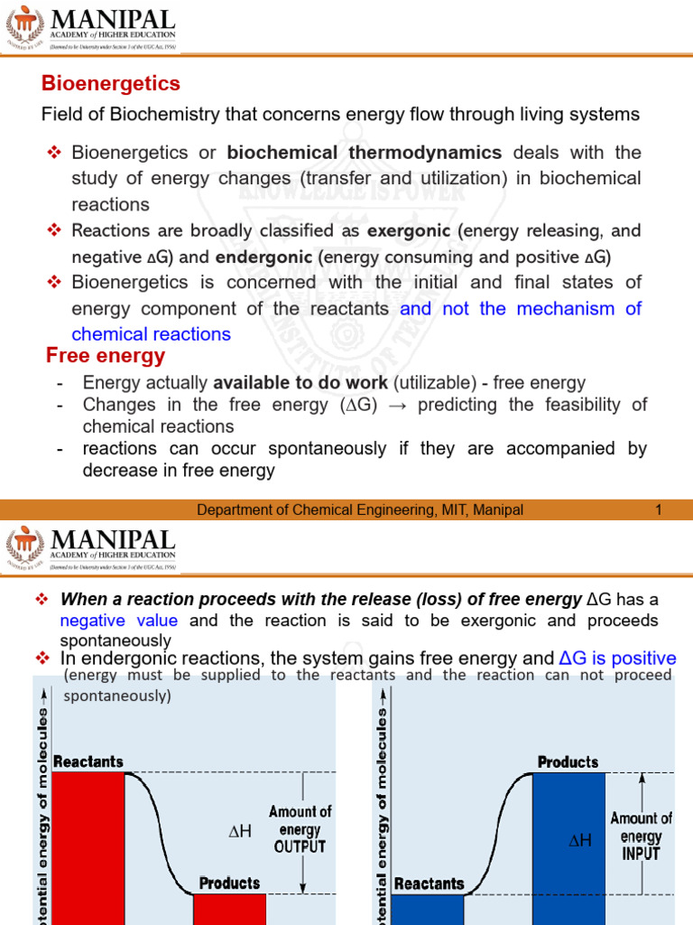Bioenergetics and Metabolism Overview | PDF | Diet & Nutrition | Chemistry