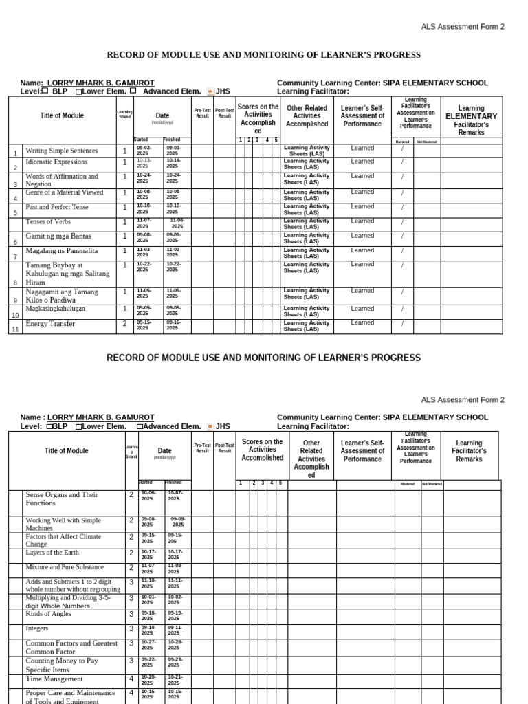 ASF FORM SIPA | PDF | Integer | Grammatical Tense