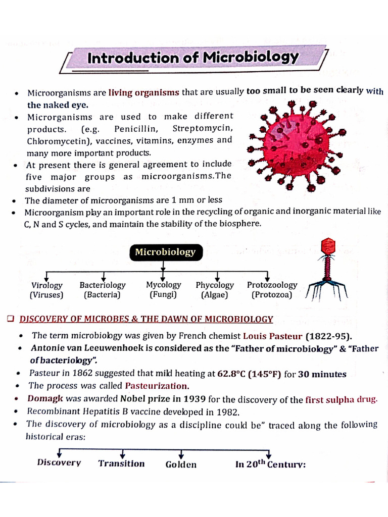 Introduction of Microbiology | PDF