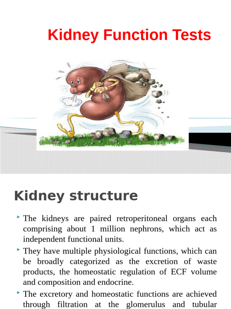 Kidney Function Tests and Measurements | PDF | Creatinine | Kidney