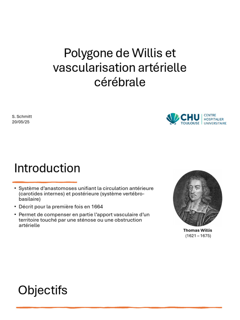 Anatomie et Variantes du Polygone de Willis PDF Artère Lobe temporal — free download