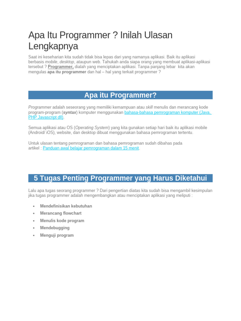 Memahami Peran dan Tugas Programmer | PDF