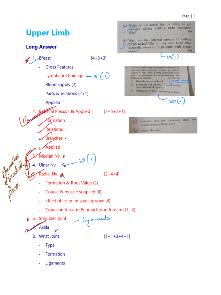 Upper Limb and Lower Limb Anatomy Guide | PDF | Kidney | Human Anatomy