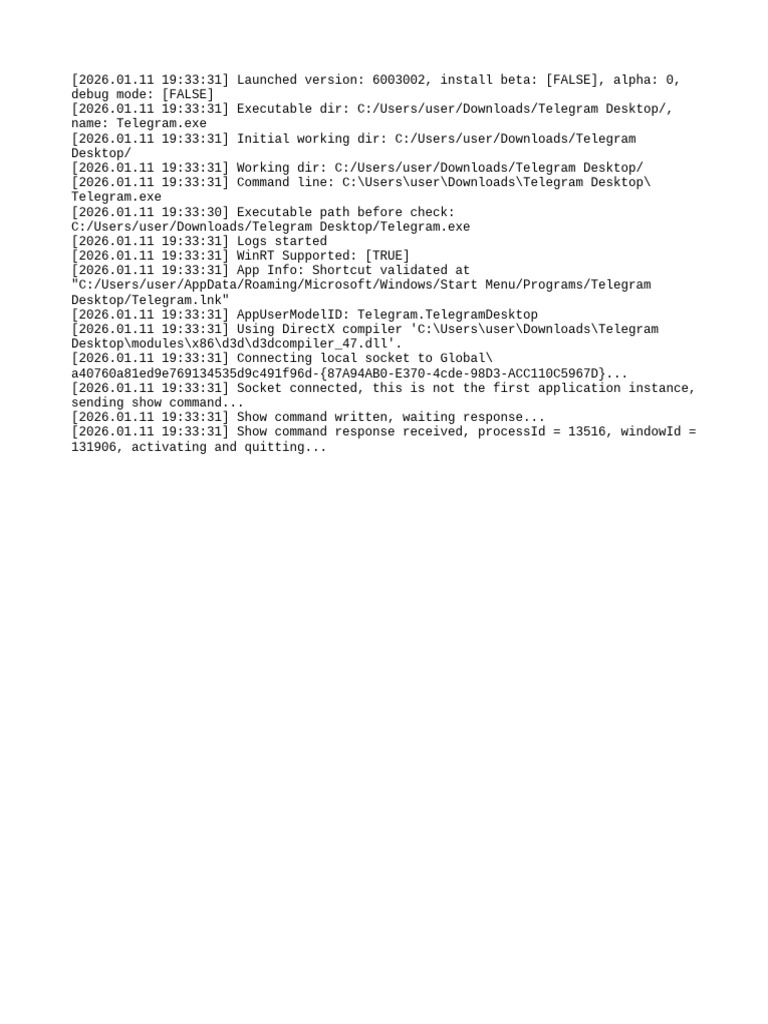 Telegram Desktop Launch Log Details | PDF