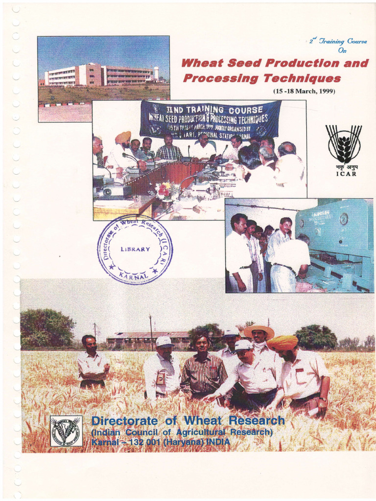 Wheat Seed Production Techniques Guide | PDF