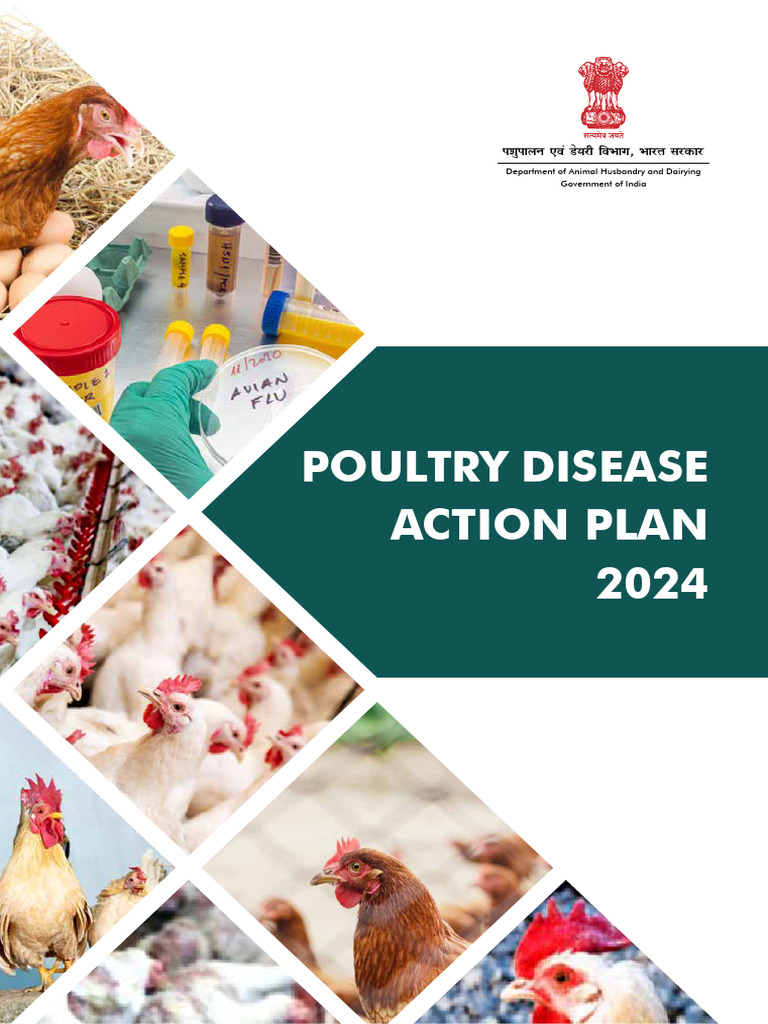 Poultry Disease Action Plan 2024 India | PDF | Avian Influenza | Influenza
