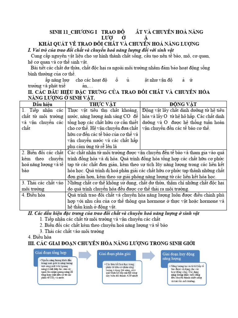 Sinh 11 - CD1 - HS | PDF