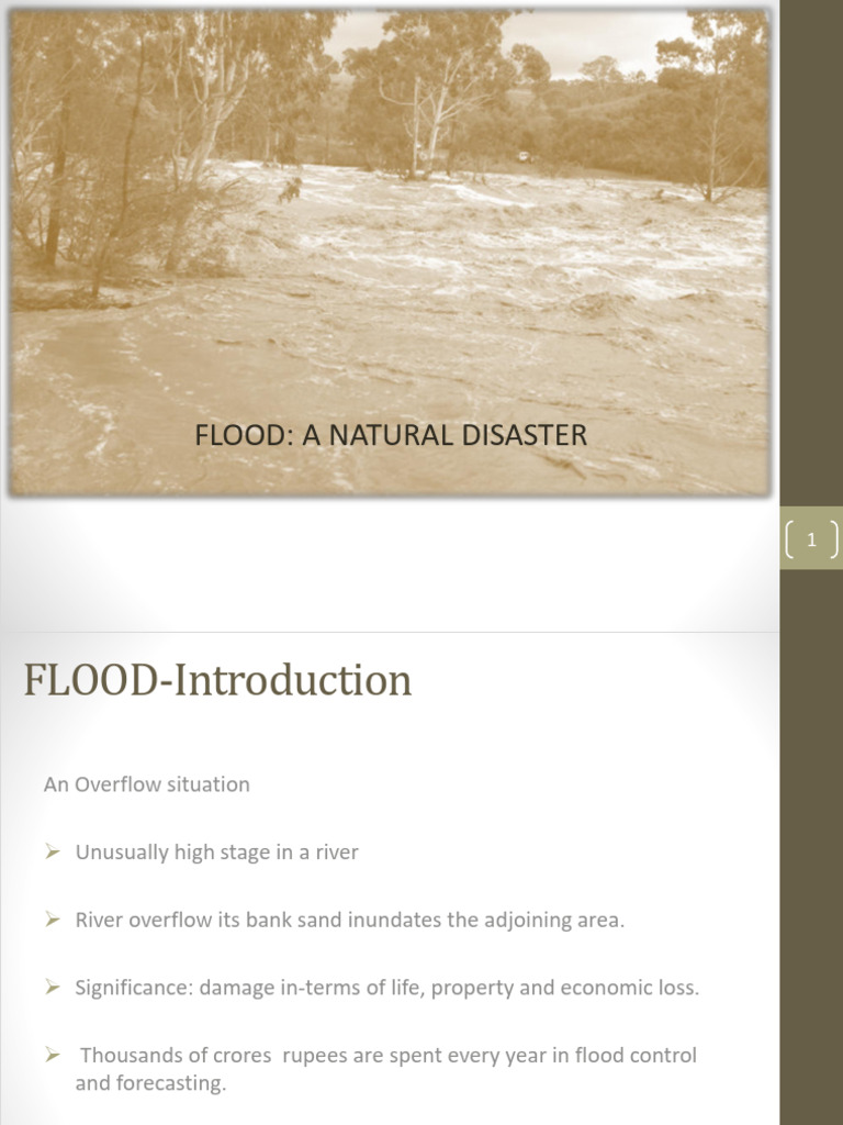 Understanding Floods: Causes & Types | PDF | Flood | River