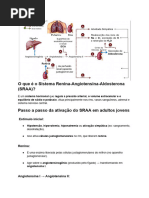Fisiologia do Sistema Renina-Angiotensina-Aldosterona | PDF ...