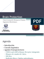 [8]Brain Protection.pptx