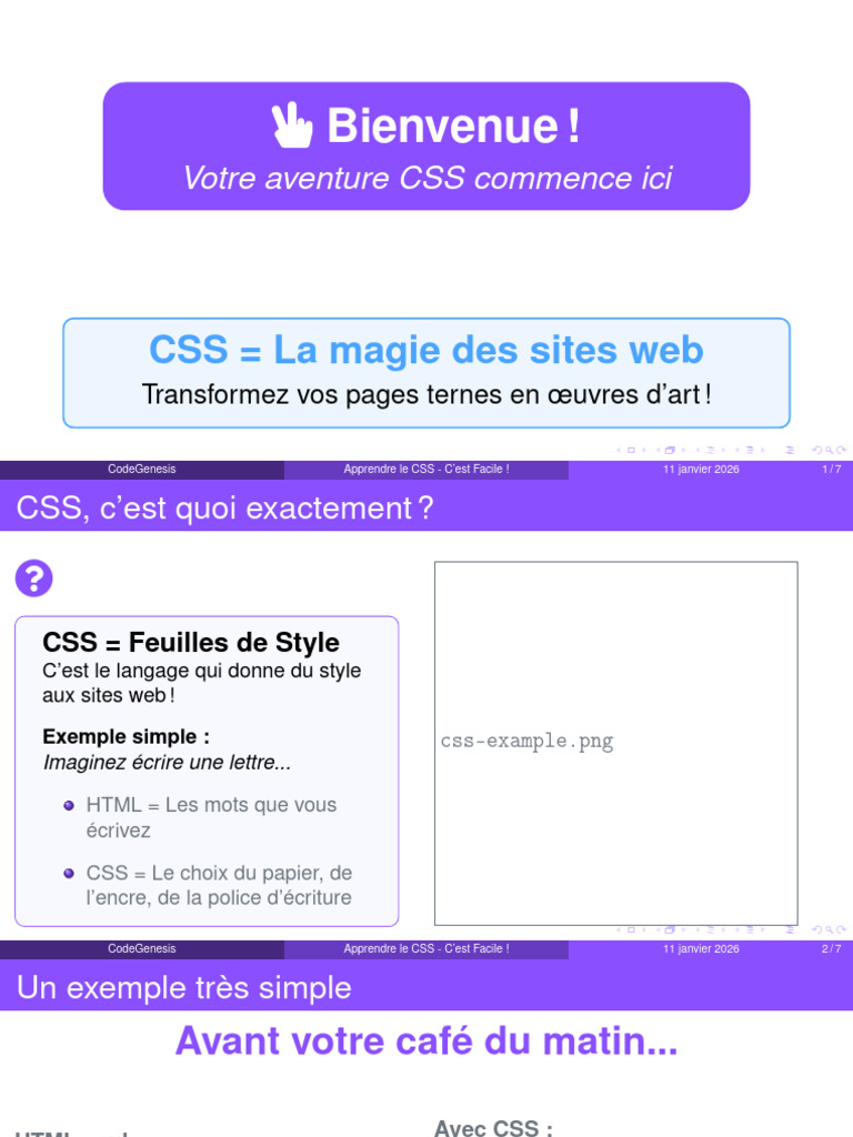 Introduction au CSS pour débutants | PDF | Informatique | Standards du Web