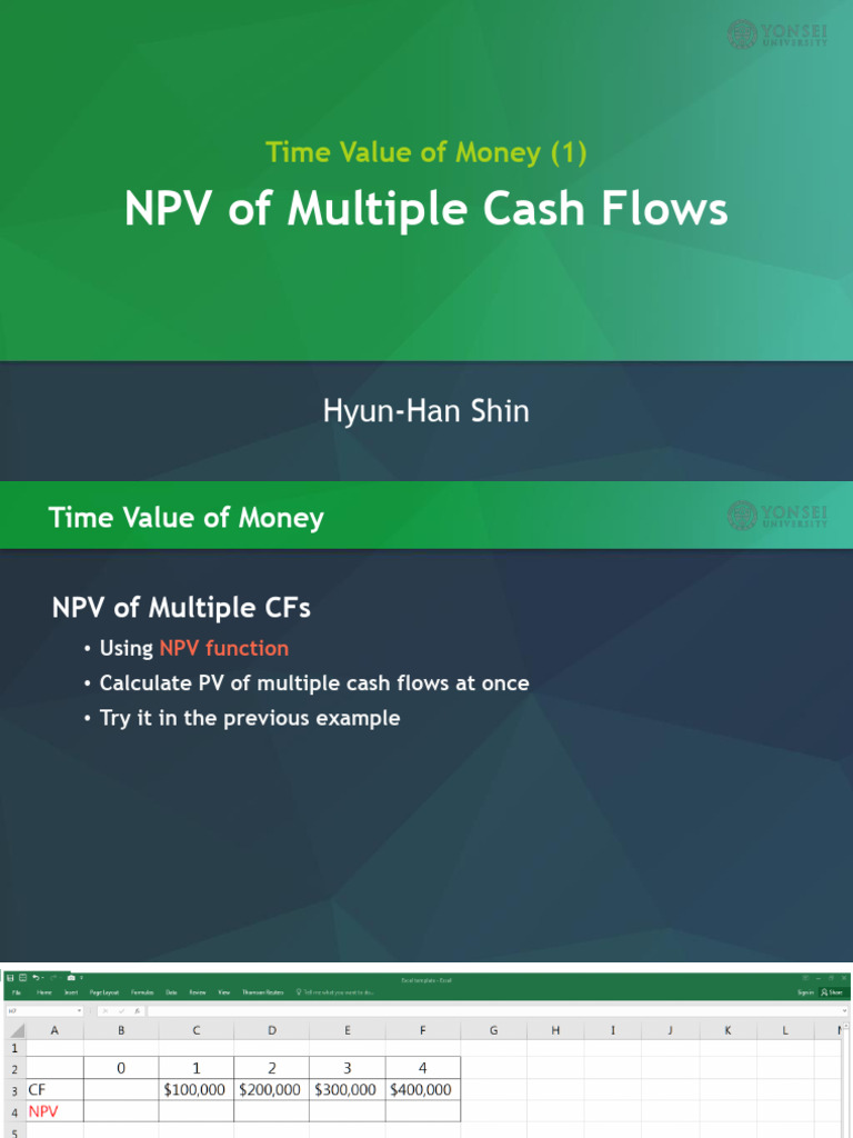 NPV Calculation for Multiple Cash Flows | PDF