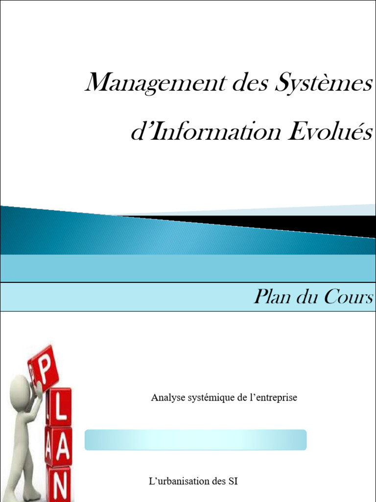 Schéma Directeur Informatique : Guide Complet | PDF | Système d ...