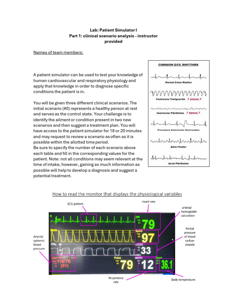 Clinical Scenario Analysis with Patient Simulator | PDF | Heart | Pulse