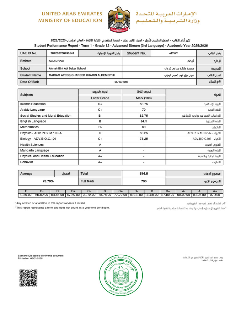 Grade 12 Student Performance Report | PDF
