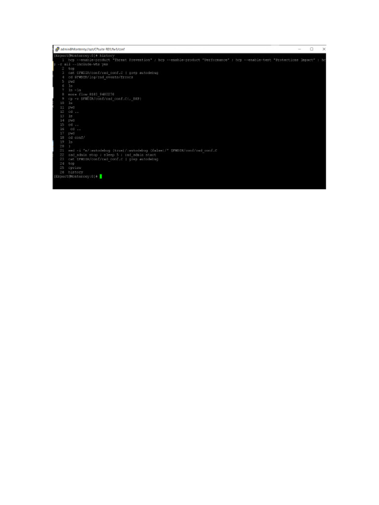 Comands to Debug RAD Default Checkpoint | PDF