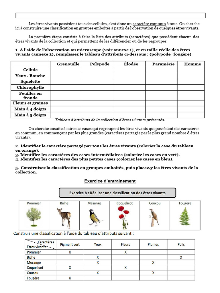 Classification des êtres vivants par attributs | PDF