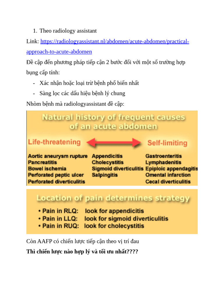 Theo Radiology Assistant | PDF