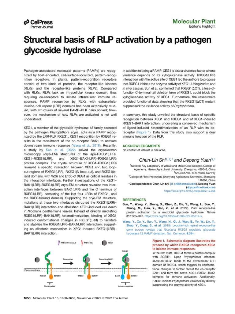 Structural Basis of RLP Activation by a Pathogen Glycoside -- Chun-Lin ...