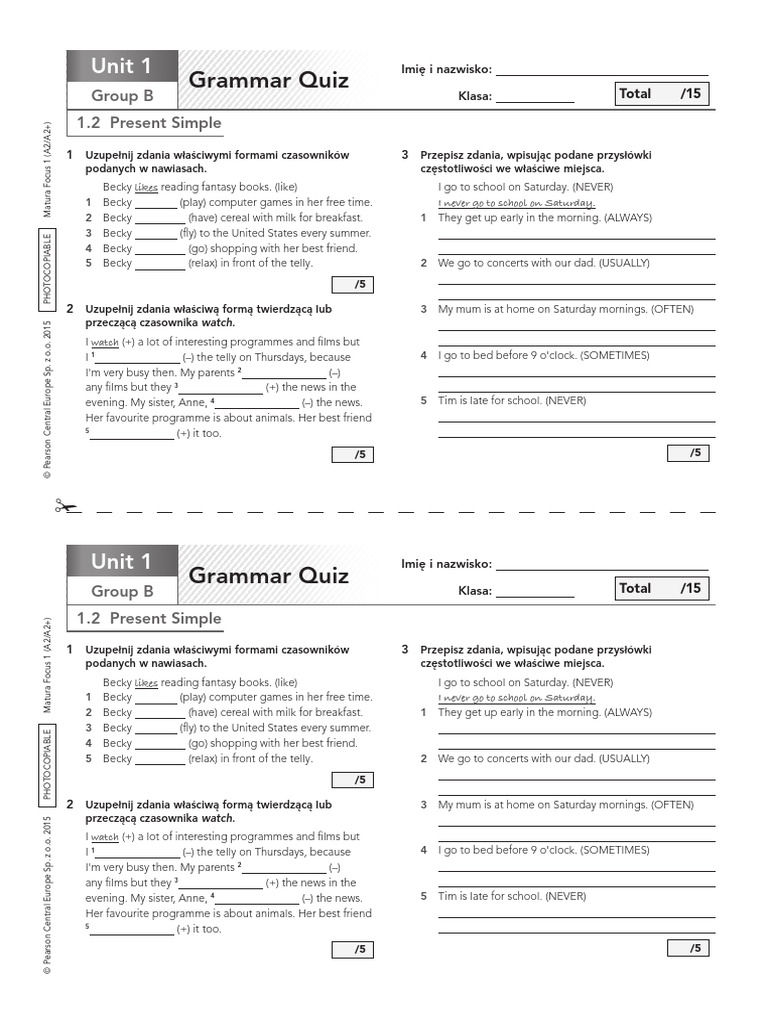 Grammar Quiz Lesson 1 2 Group B POL | PDF